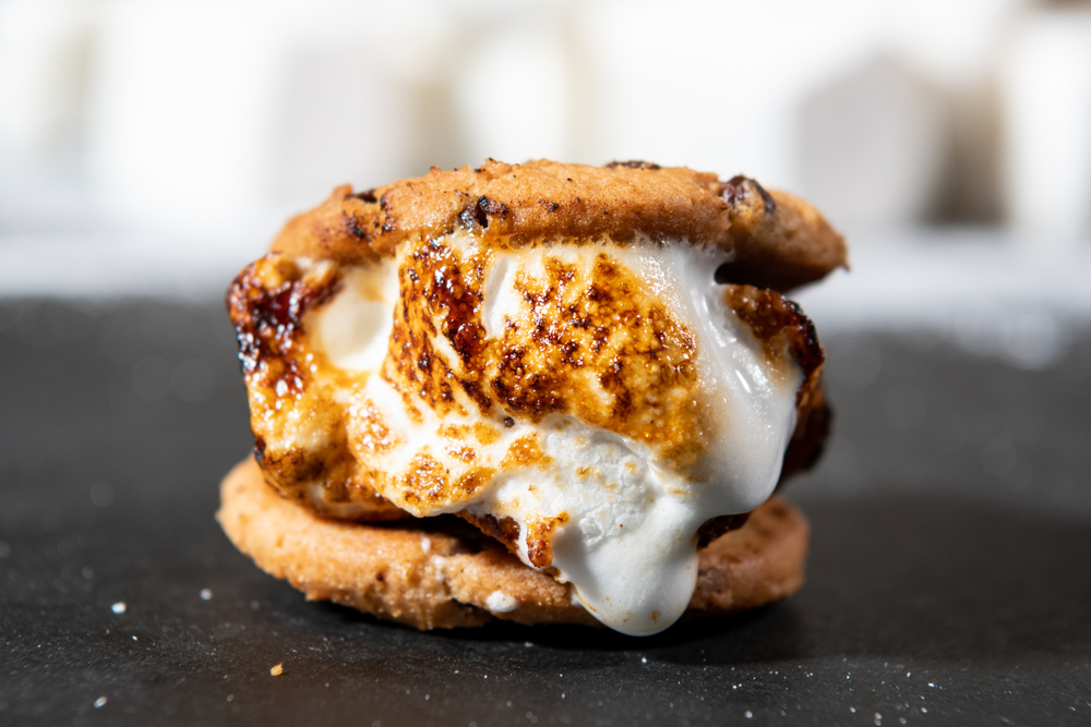 s'mores cookie sandwich