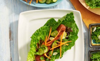 Korean Beef Frank Lettuce Wraps