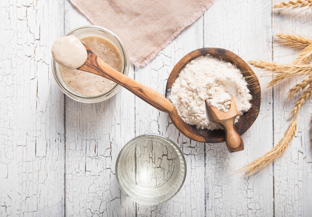 sourdough starter