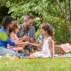 backyard picnic