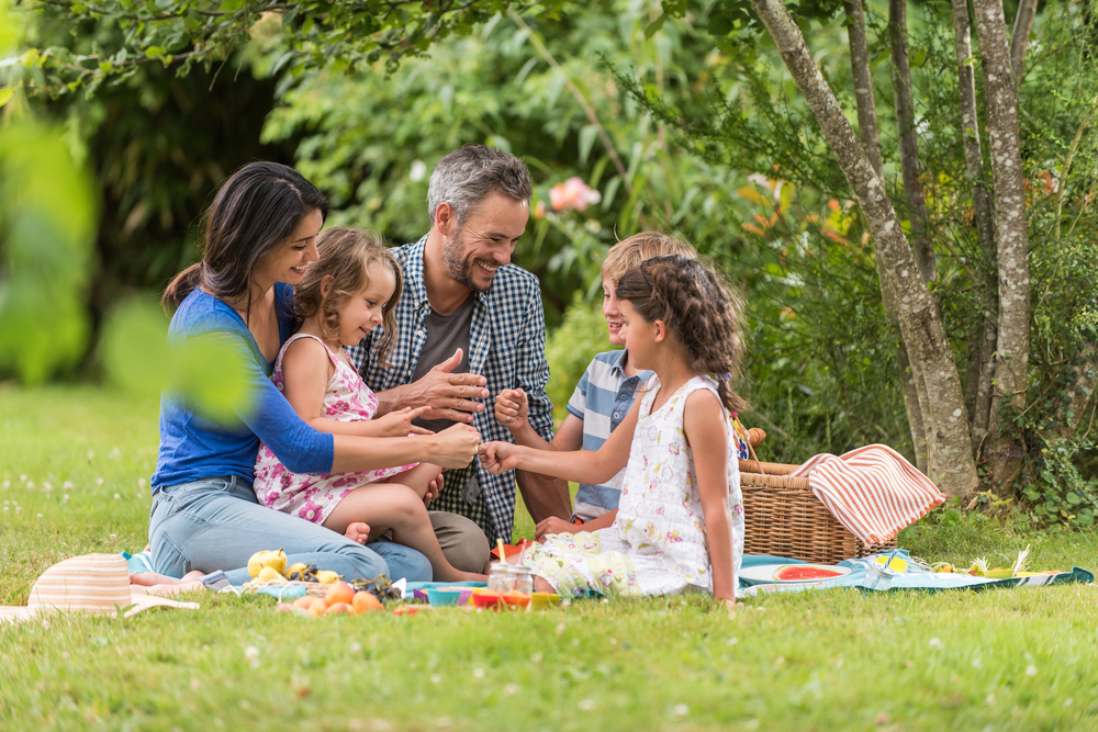 backyard picnic